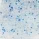 Природа Sani Pet &mdash; силікагелевий наповнювач, 7.6 л (3.4 кг)