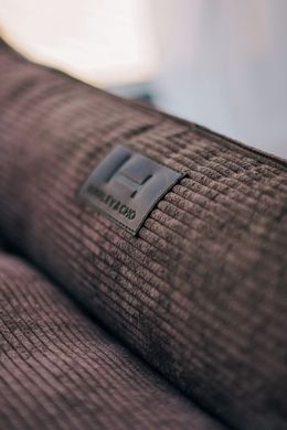 Dreamer Brown Velvet Bed