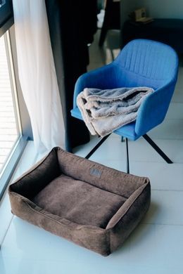 Dreamer Brown Velvet Bed