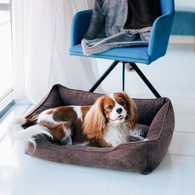 Dreamer Brown Velvet Bed