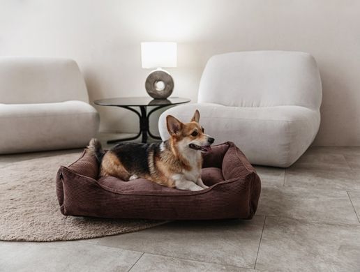 Dreamer Brown Velvet Bed