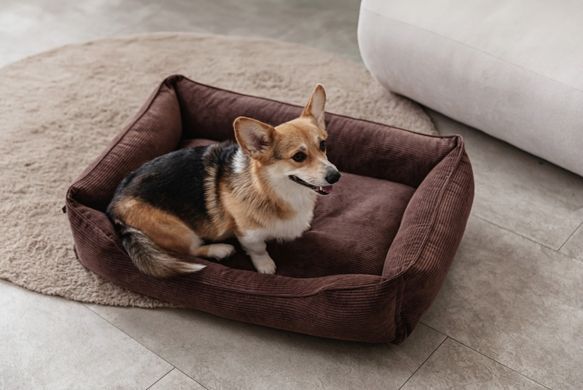 Dreamer Brown Velvet Bed