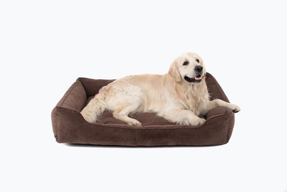 Dreamer Brown Velvet Bed