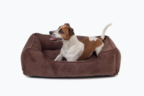 Dreamer Brown Velvet Bed