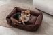 Dreamer Brown Velvet Bed