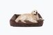 Dreamer Brown Velvet Bed