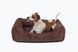 Dreamer Brown Velvet Bed