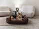 Dreamer Brown Velvet Bed
