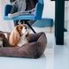 Dreamer Brown Velvet Bed