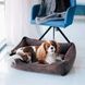 Dreamer Brown Velvet Bed