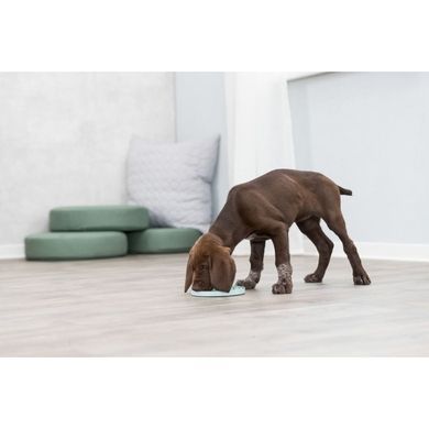Trixie Junior Slow‑Feed Puppy Bowl, blue, plastic, &oslash; 21 cm