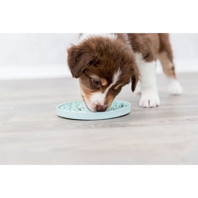 Trixie Junior Slow‑Feed Puppy Bowl, blue, plastic, &oslash; 21 cm
