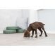 Trixie Junior Slow‑Feed Puppy Bowl, blue, plastic, &oslash; 21 cm