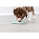 Trixie Junior Slow‑Feed Puppy Bowl, blue, plastic, &oslash; 21 cm