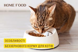Беззерновий корм для котів: плюси та мінуси