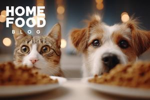 Food intolerance in dogs and cats