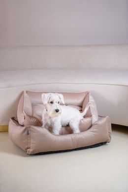 Dreamer Velur Pudra Bed