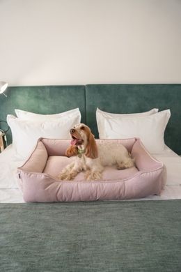 Dreamer Velur Pudra Bed