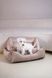 Dreamer Velur Pudra Bed