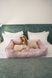 Dreamer Velur Pudra Bed