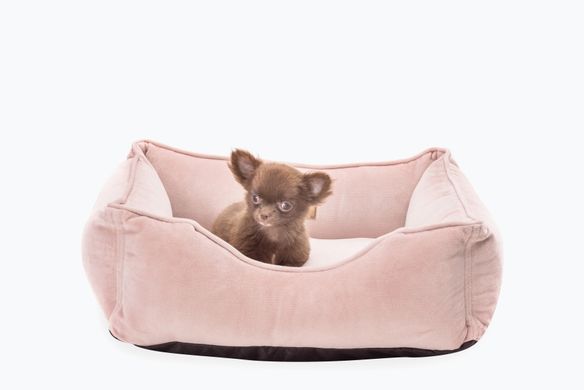 Dreamer Velur Pudra Bed