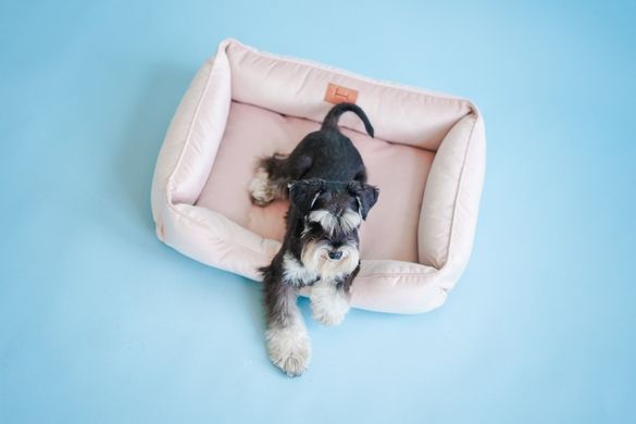 Dreamer Velur Pudra Bed
