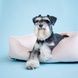 Dreamer Velur Pudra Bed