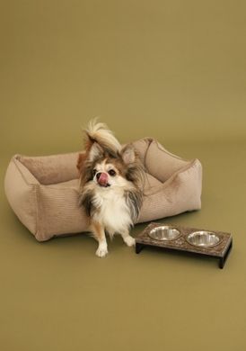 Dreamer Cacao Velvet Bed