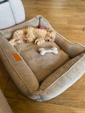 Dreamer Cacao Velvet Bed