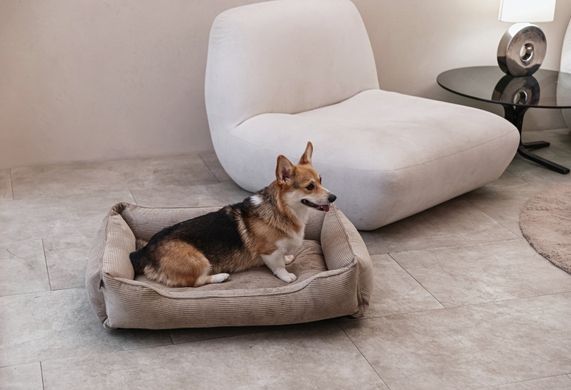 Dreamer Cacao Velvet Bed