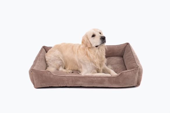 Dreamer Cacao Velvet Bed
