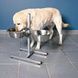 Trixie Adjustable Stainless Feeding Stand for dogs, 24 cm 2&times;2.8 L