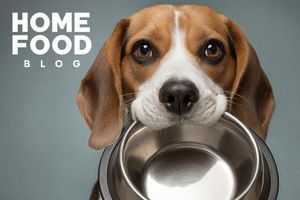 What is better to feed the dog: natural or dry food