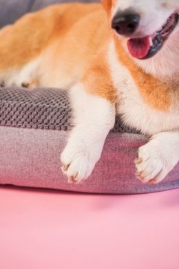 Donut Soft Touch Gray Oval Bed