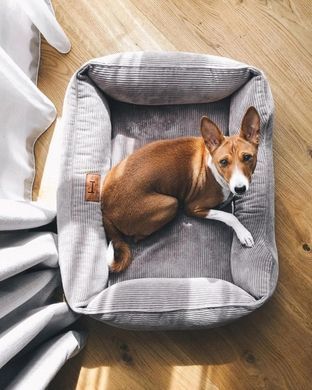 Dreamer Gray Velvet Bed