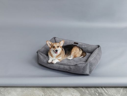 Dreamer Gray Velvet Bed