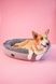 Donut Soft Touch Gray Oval Bed