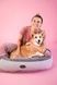 Donut Soft Touch Gray Oval Bed