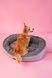 Donut Soft Touch Gray Oval Bed