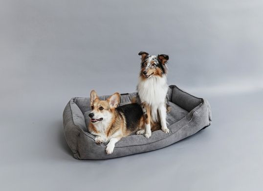 Dreamer Gray Velvet Bed