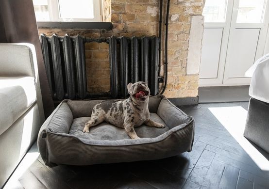Dreamer Gray Velvet Bed