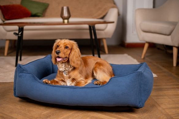 Dreamer Gray Velvet Bed