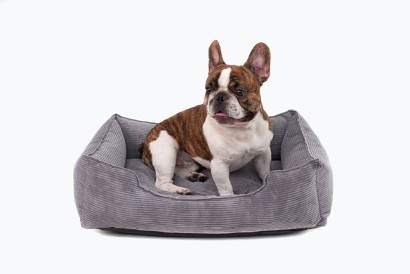 Dreamer Gray Velvet Bed