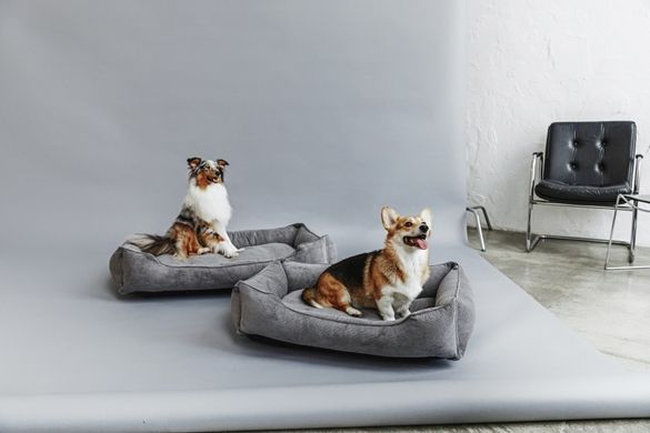 Dreamer Gray Velvet Bed
