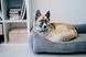 Dreamer Gray Velvet Bed