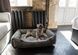 Dreamer Gray Velvet Bed