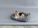 Dreamer Gray Velvet Bed