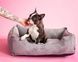 Dreamer Gray Velvet Bed