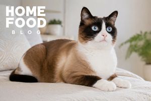 Snowshoe