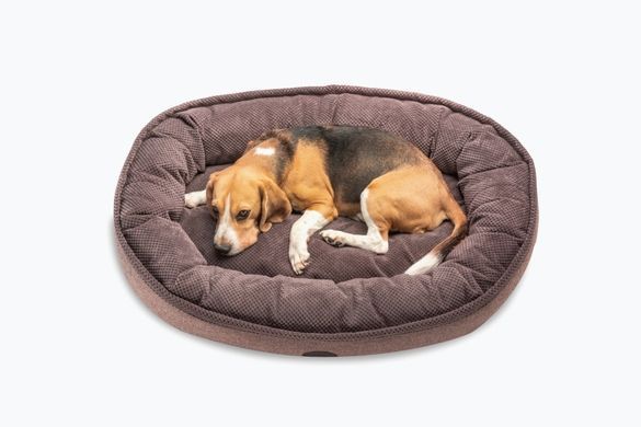 Donut Soft Touch Brown Oval Bed